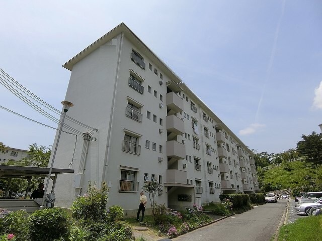 13185089/建物外観