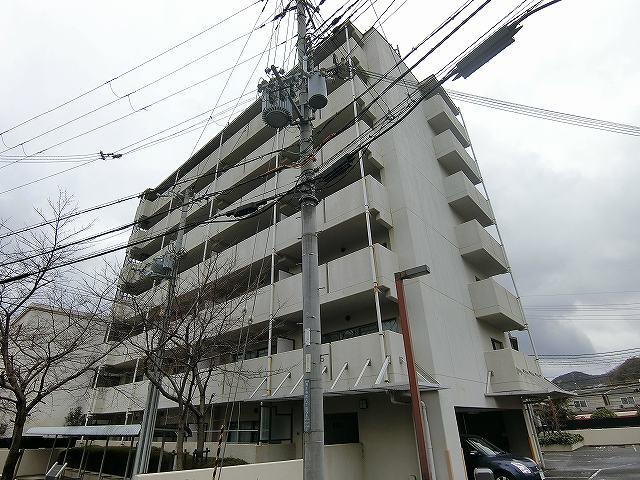 14205799/建物外観